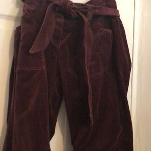 Knee length velour pants in burgundy